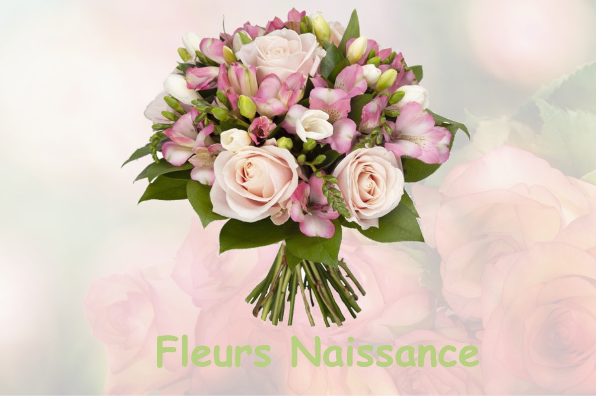 fleurs naissance HUETRE