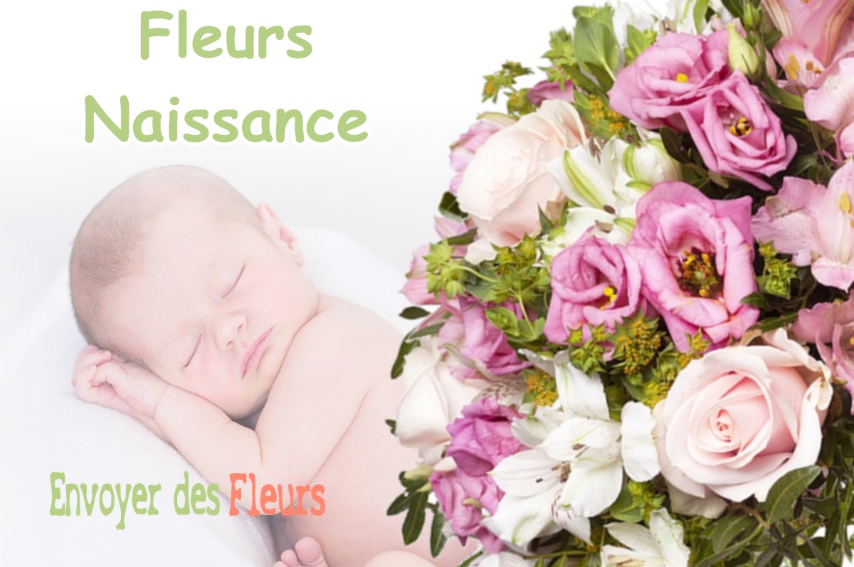 lIVRAISON FLEURS NAISSANCE à HUETRE